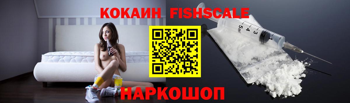 КОКАИН Fish Scale  КОКАИН Fish Scale  Вход с VPN  Камышлов 