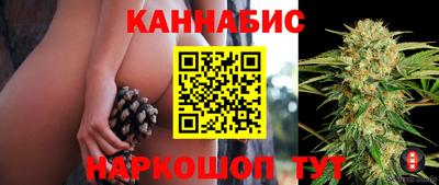 крисы Беслан