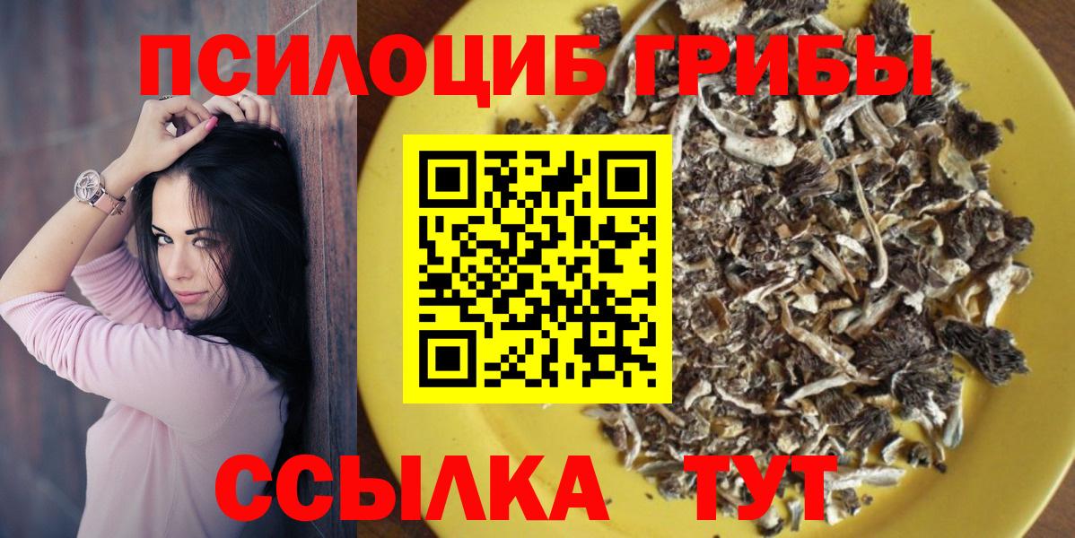 Псилоцибиновые грибы Magic Shrooms Камышлов