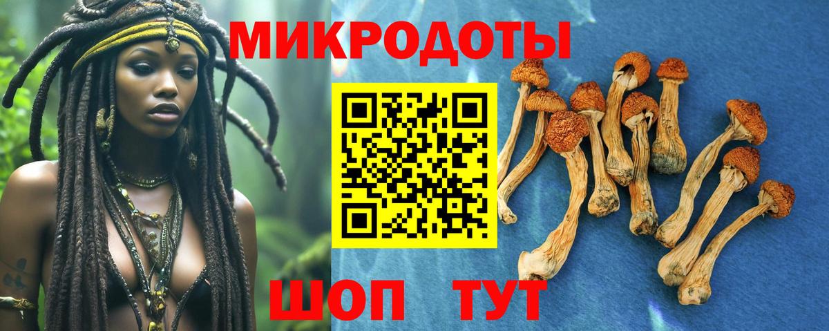 Галлюциногенные грибы Cubensis  Вход с VPN  Камышлов 